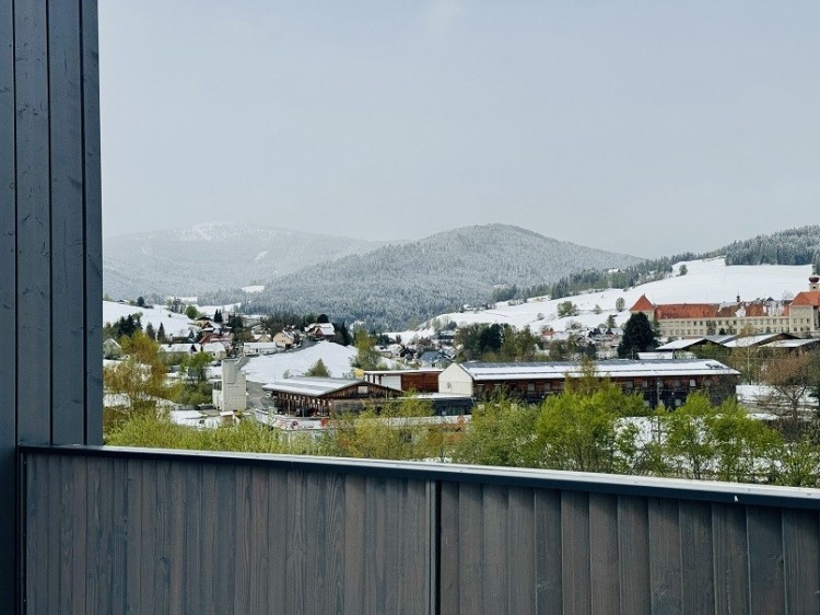 Ski-In Ski-Out Mountain Home in Grebenzen